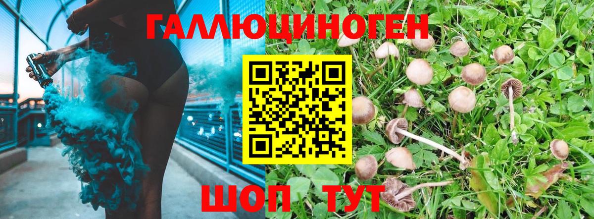 где найти   Галлюциногенные грибы мухоморы  Вход с VPN  Лосино-Петровский  Галлюциногенные грибы мицелий 