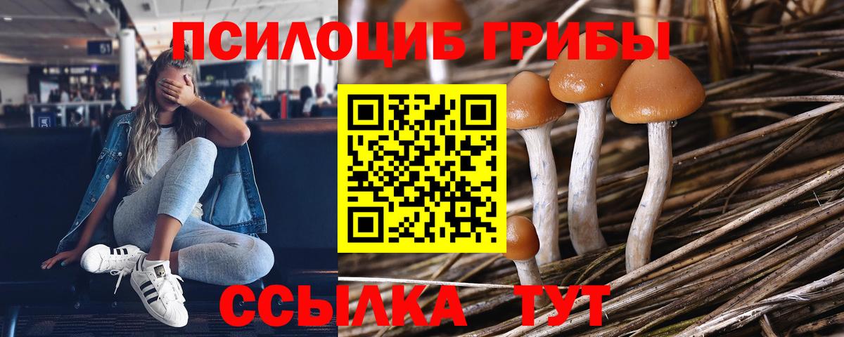 Псилоцибиновые грибы прущие грибы Лосино-Петровский